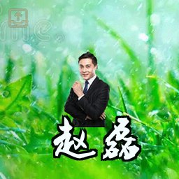 赵磊